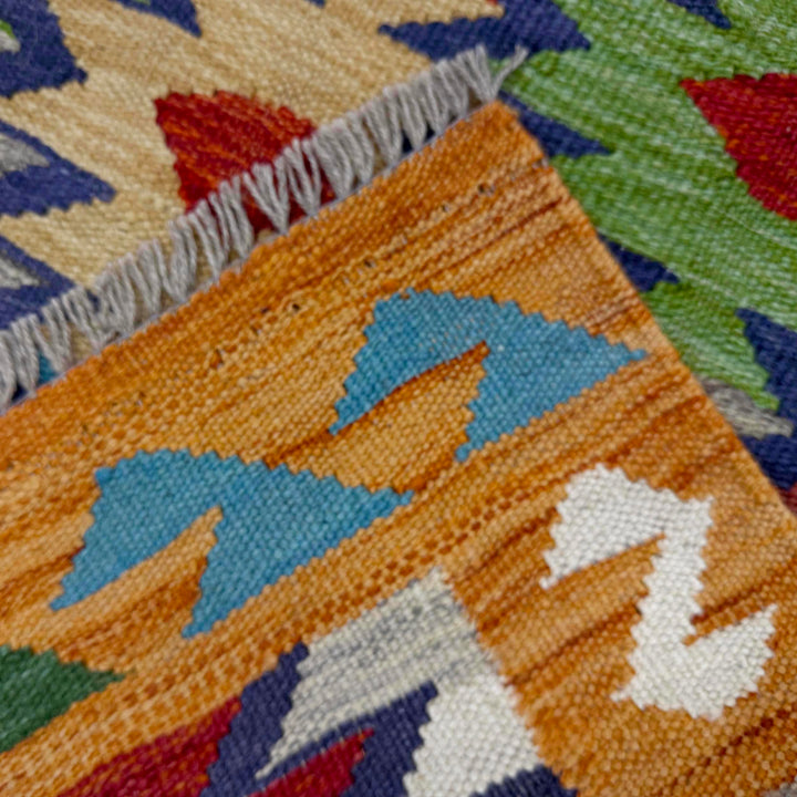 Afghan Vegetable Kilim Rug 2' 7" x 4' 0" Flat-Weave border
