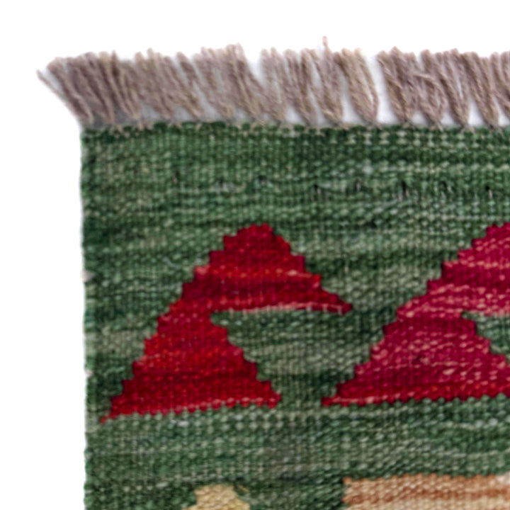Afghan Vegetable Kilim Rug 2' 6" x 4' 1" Flat-Weave border