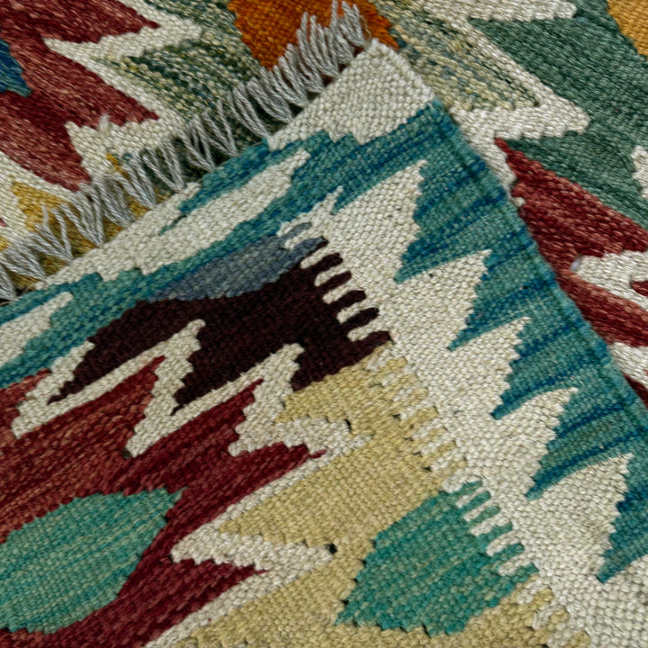 Afghan Vegetable Kilim Rug 2' 8" x 3' 11" Flat-Weave border