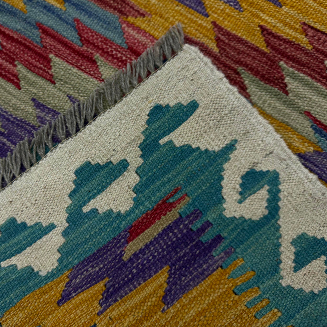 Afghan Vegetable Kilim Rug 2' 7" x 3' 10" Flat-Weave border
