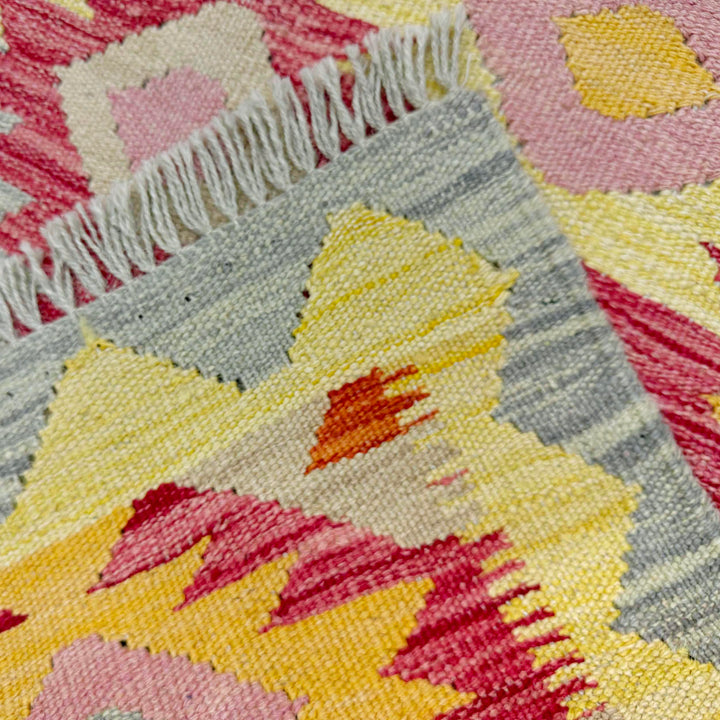 Afghan Vegetable Kilim Rug 2' 5" x 4' 0" Flat-Weave border