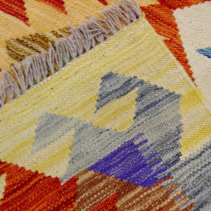 Afghan Vegetable Kilim Rug 2' 8" x 4' 2" Flat-Weave border