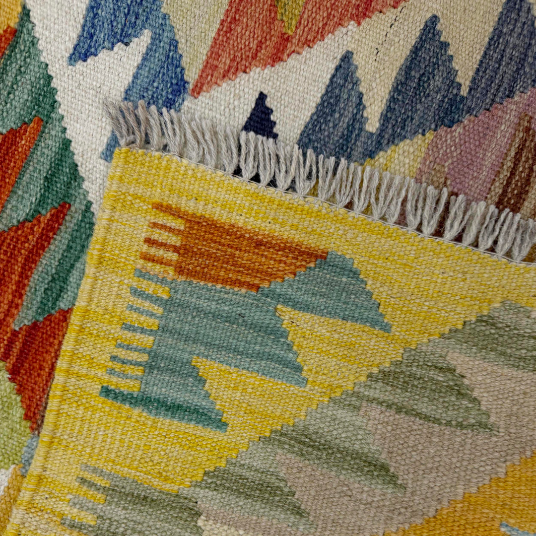 Afghan Vegetable Kilim Rug 3' 11" x 5' 9" Flat-Weave border