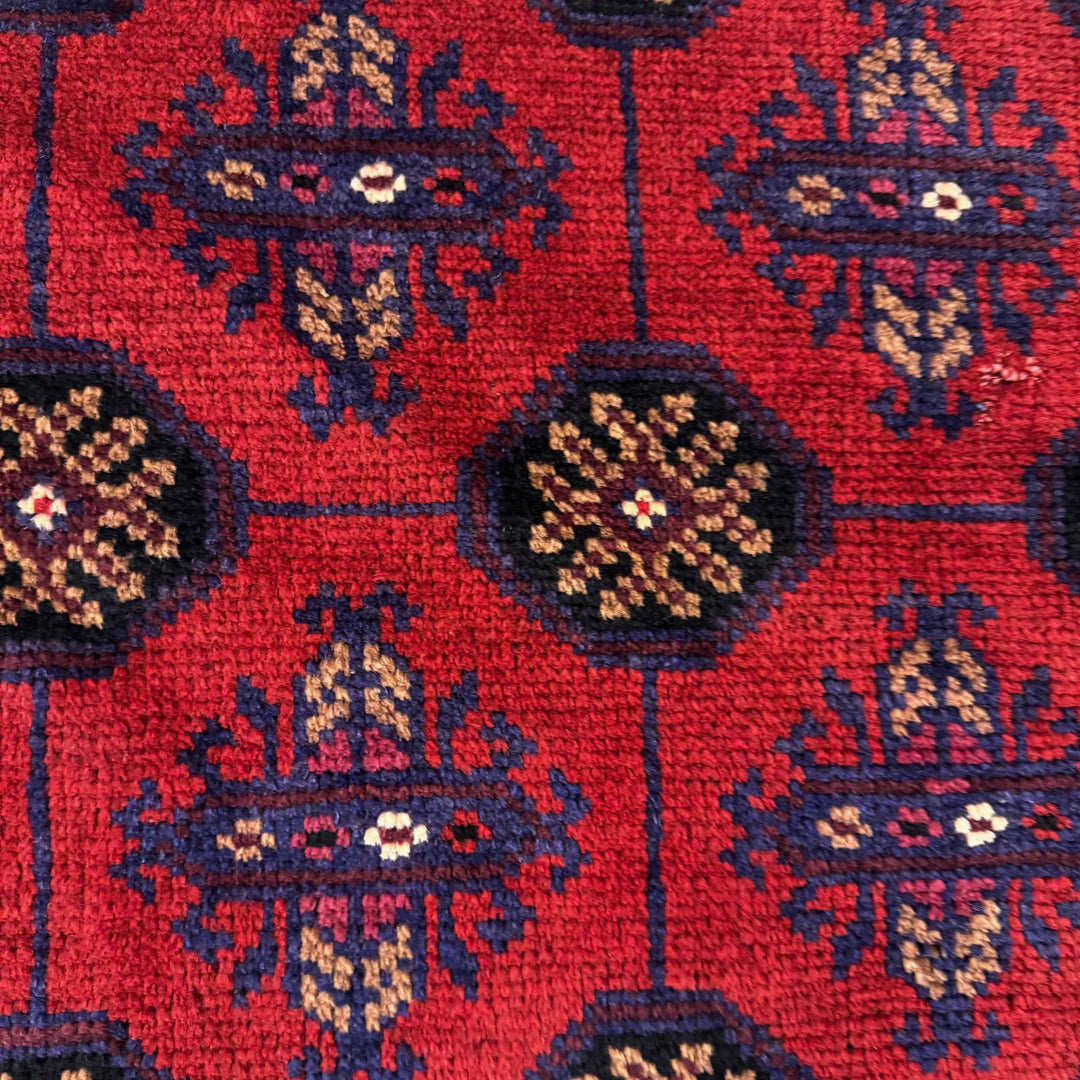 Afghan Tribal Baluchi Rug 2' 8" x 4' 7" Hand-Knotted border