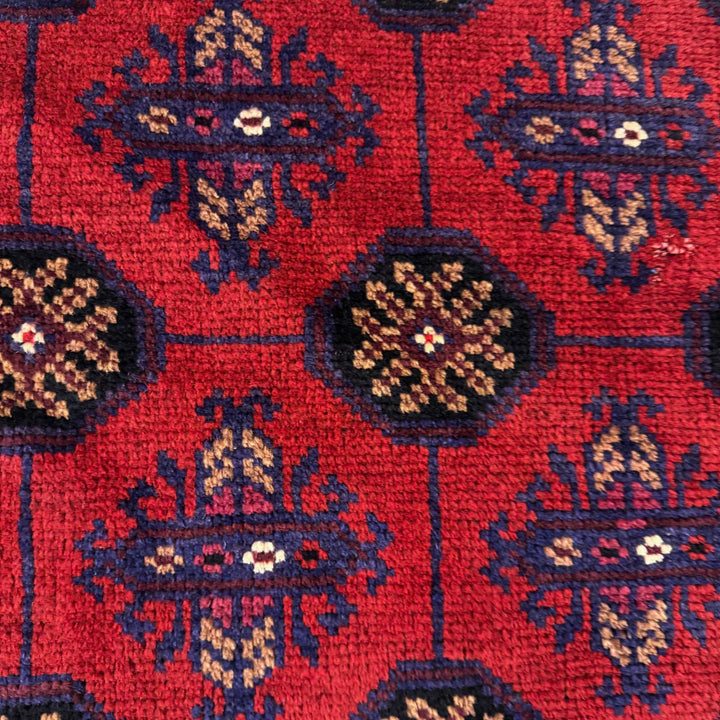 Afghan Baluchi Rug 2' 8" x 4' 7" Hand-Knotted border