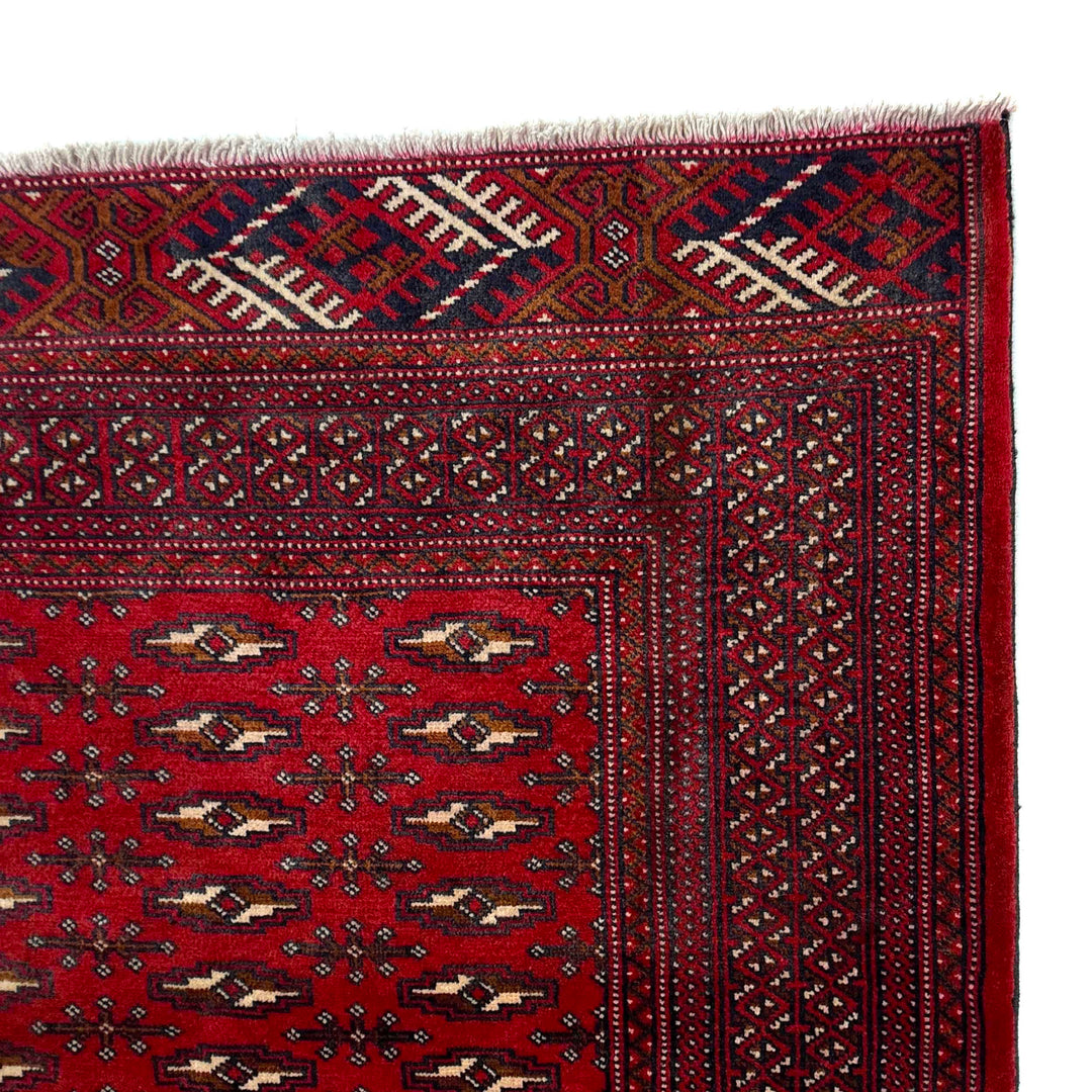Deep Red Afghan Bokhara Rug 6' 10" x 9' 1" Hand-Knotted | No. AL28666
