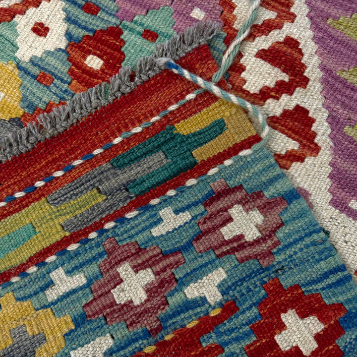 Afghan Vegetable Kilim Rug 2' 10" x 4' 7" Flat-Weave border