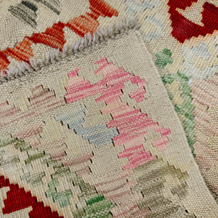 Afghan Vegetable Kilim Rug 2' 11" x 4' 5" Flat-Weave border