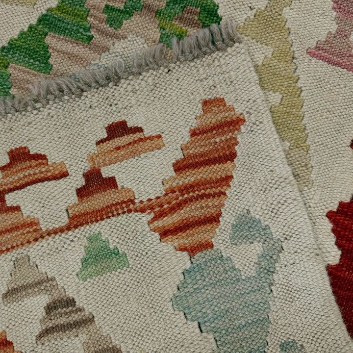 Afghan Vegetable Kilim Rug 2' 0" x 5' 9" Flat-Weave border