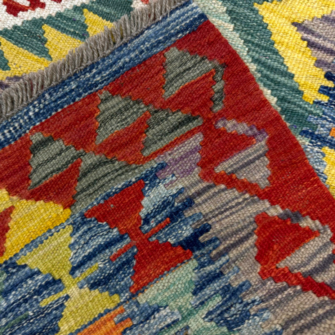 Multicolor Afghan Vegetable Kilim Rug 2'7" x 4'3" Flat-Weave border