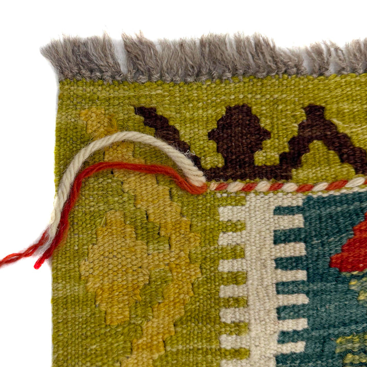 Multicolor Afghan Vegetable Kilim Rug 2'11" x 4'3" Flat-Weave pattern