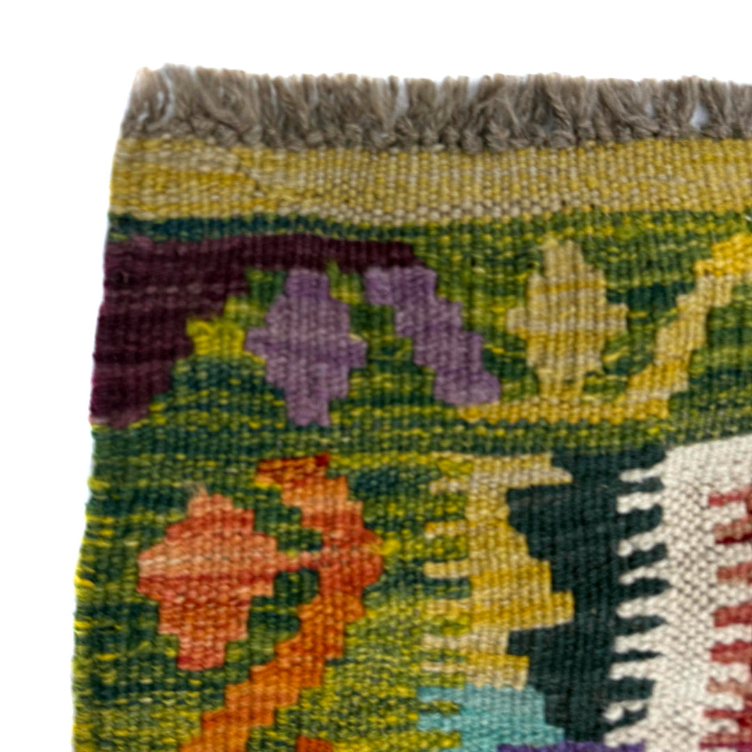 Multicolor Afghan Vegetable Kilim Rug 2'9" x 3'10" Flat-Weave pattern