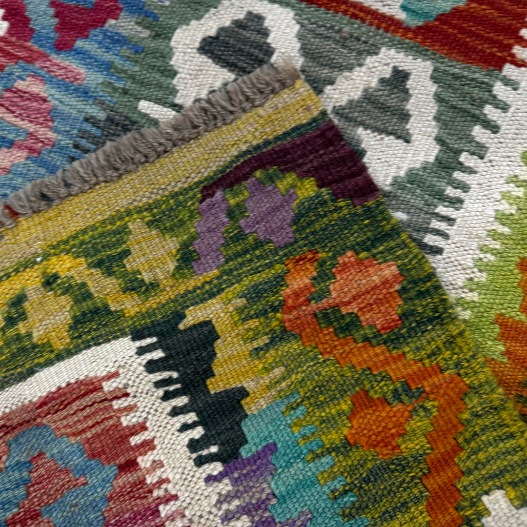 Multicolor Afghan Vegetable Kilim Rug 2'9" x 3'10" Flat-Weave border
