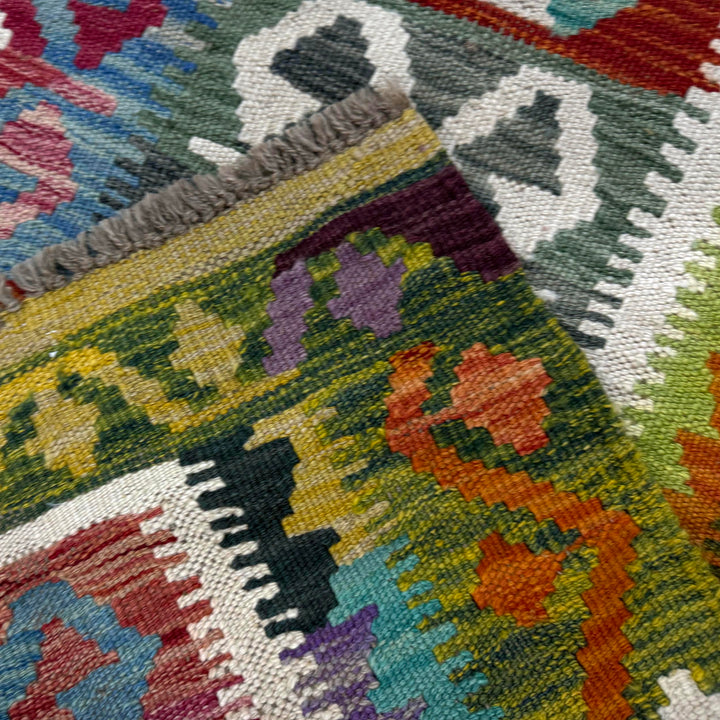 Multicolor Afghan Vegetable Kilim Rug 2'9" x 3'10" Flat-Weave border