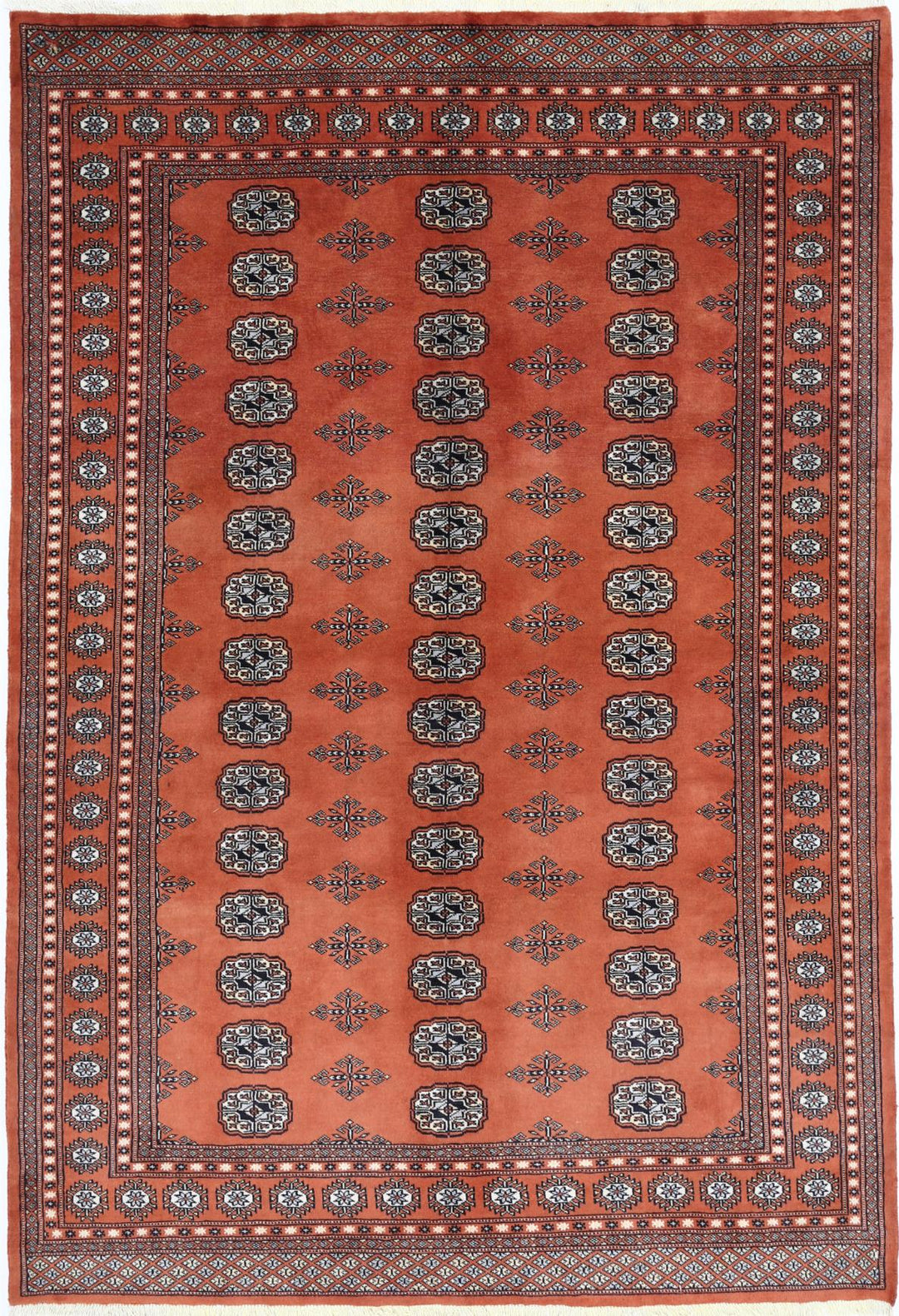 Bokhara 6’ 1″ x 9’ 0″ - No. AV33278 - ALRUG Rug Store