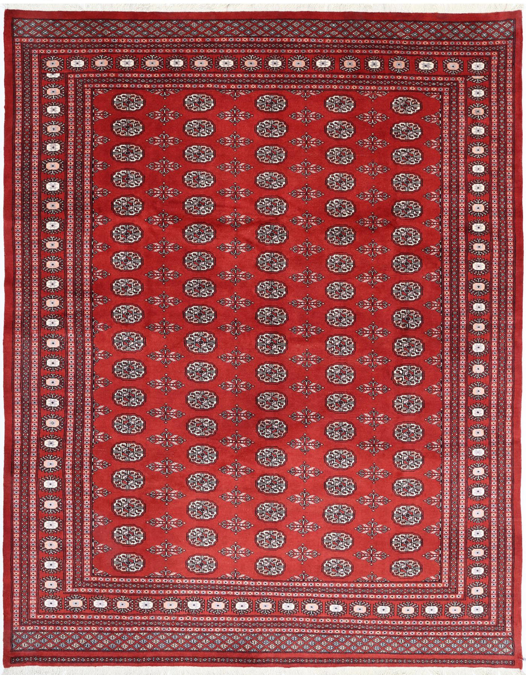 Bokhara 7’ 11” x 10’ 0″ - No. AV50675 - ALRUG Rug Store