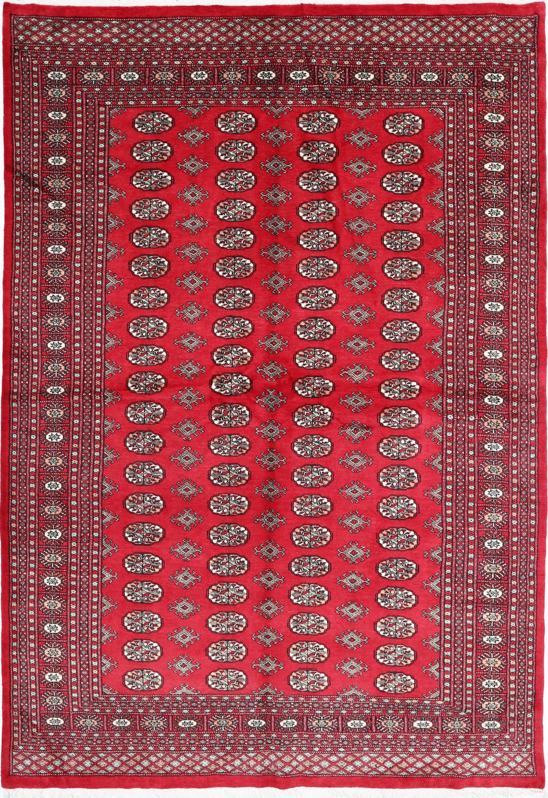 Bokhara 6’ 0″ x 8’ 10” - No. AV22462 - ALRUG Rug Store