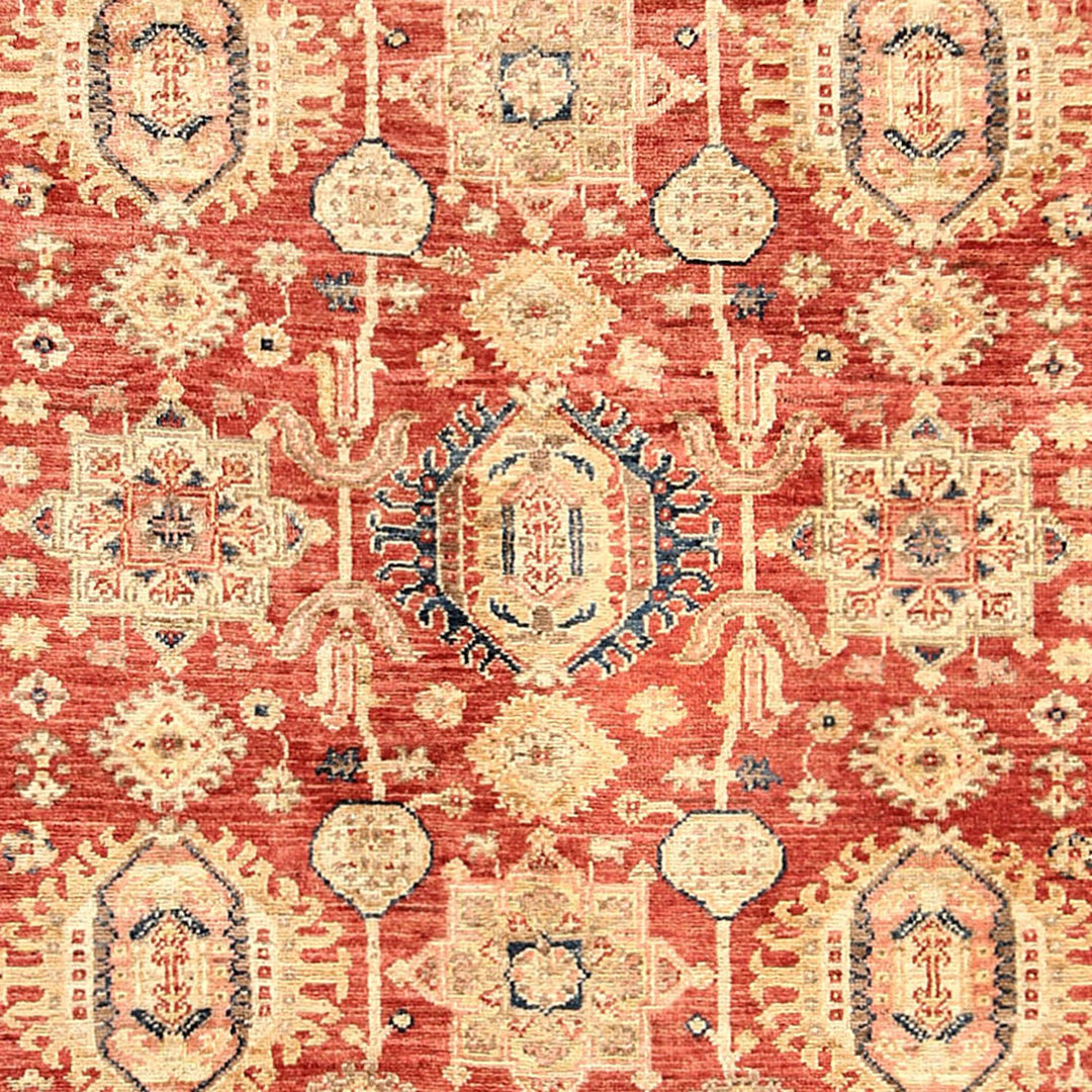Red Afghan Serapi Rug 3' 9" x 5' 5" Hand-Knotted border