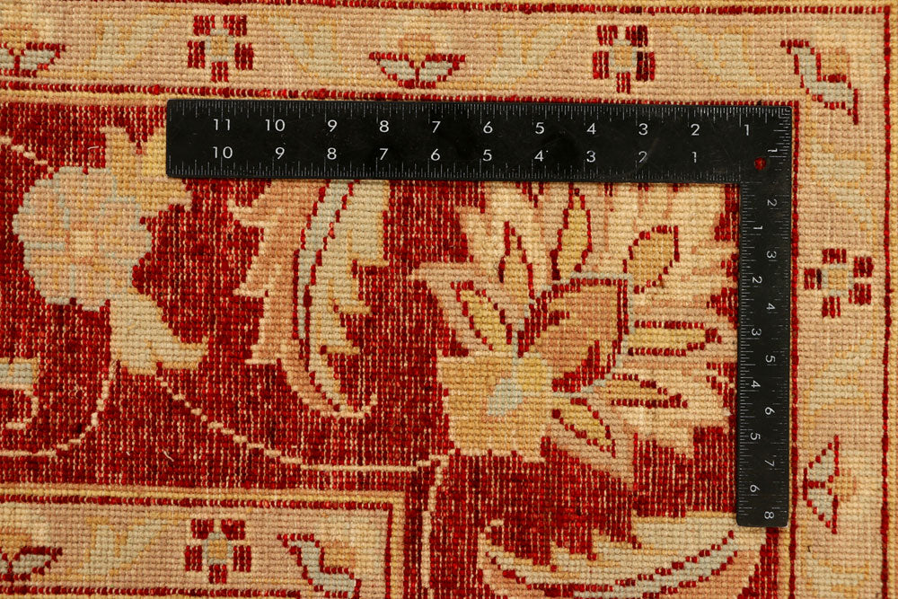 Navajo White Ziegler 6' 7 x 10' - No. 38020 - ALRUG Rug Store