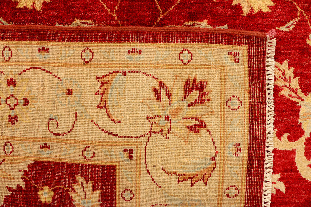 Firebrick Ziegler 5' 7 x 8' 1 - No. 38022 - ALRUG Rug Store