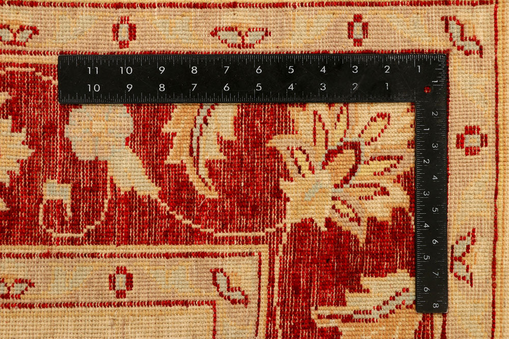 Navajo White Ziegler 5' 5 x 7' 9 - No. 38023 - ALRUG Rug Store