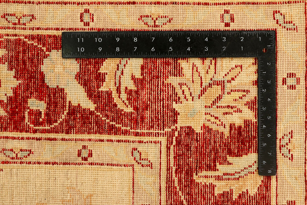 Navajo White Ziegler 5' 6 x 8' 2 - No. 38039 - ALRUG Rug Store