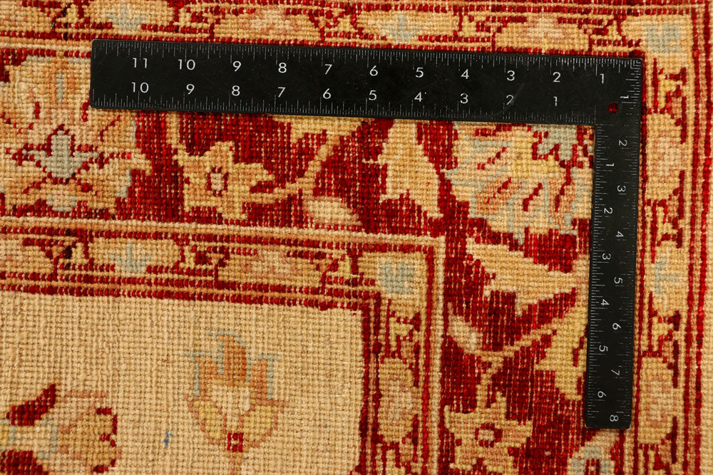 Navajo White Ziegler 3' 11 x 6' 3 - No. 38046 - ALRUG Rug Store