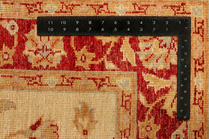 Navajo White Ziegler 4' 2 x 5' 11 - No. 38049 - ALRUG Rug Store