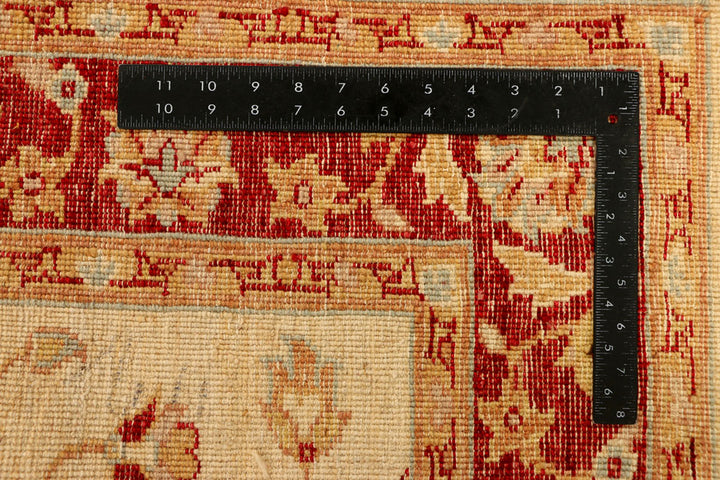 Navajo White Ziegler 4' 2 x 6' - No. 38050 - ALRUG Rug Store