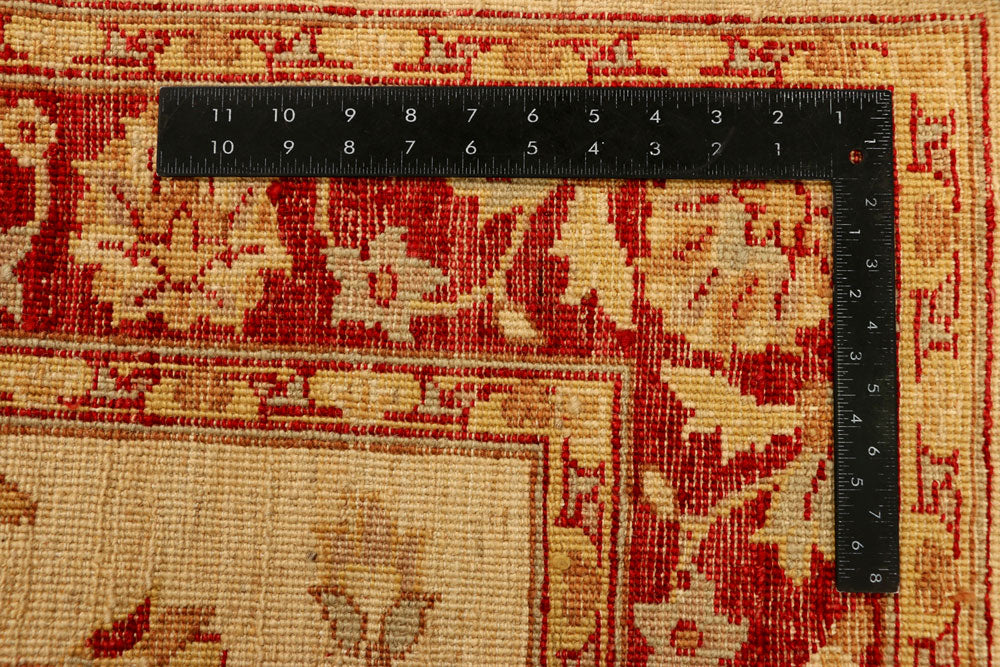 Navajo White Ziegler 4' 2 x 6' 3 - No. 38058 - ALRUG Rug Store