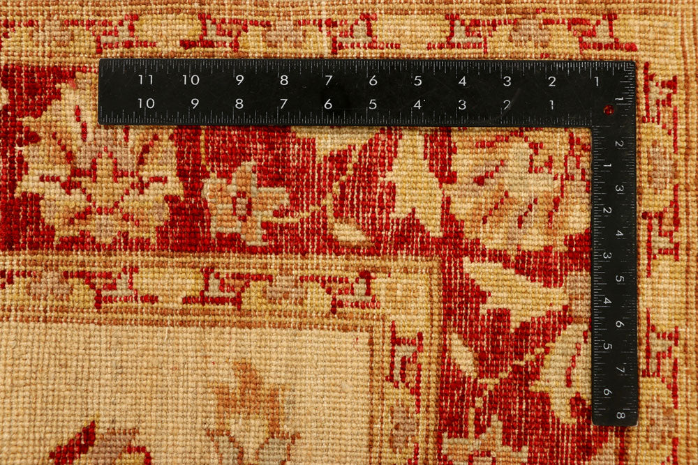 Navajo White Ziegler 4' 2 x 6' 3 - No. 38061 - ALRUG Rug Store