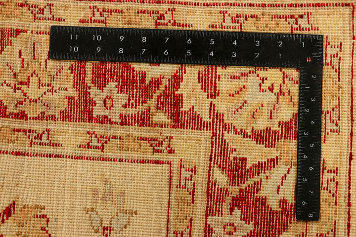 Navajo White Ziegler 4' 2 x 6' 1 - No. 38074 - ALRUG Rug Store