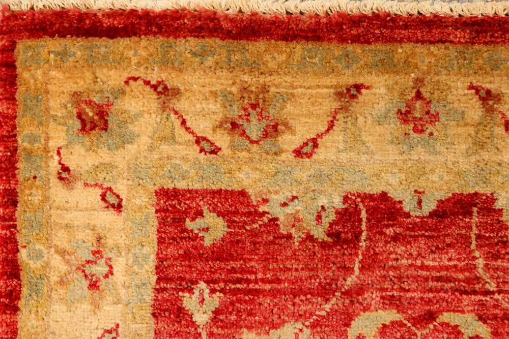 Firebrick Ziegler 2' 6 x 4' - No. 38113 - ALRUG Rug Store