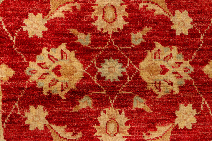 Firebrick Ziegler 2' 7 x 4' 5 - No. 38158 - ALRUG Rug Store
