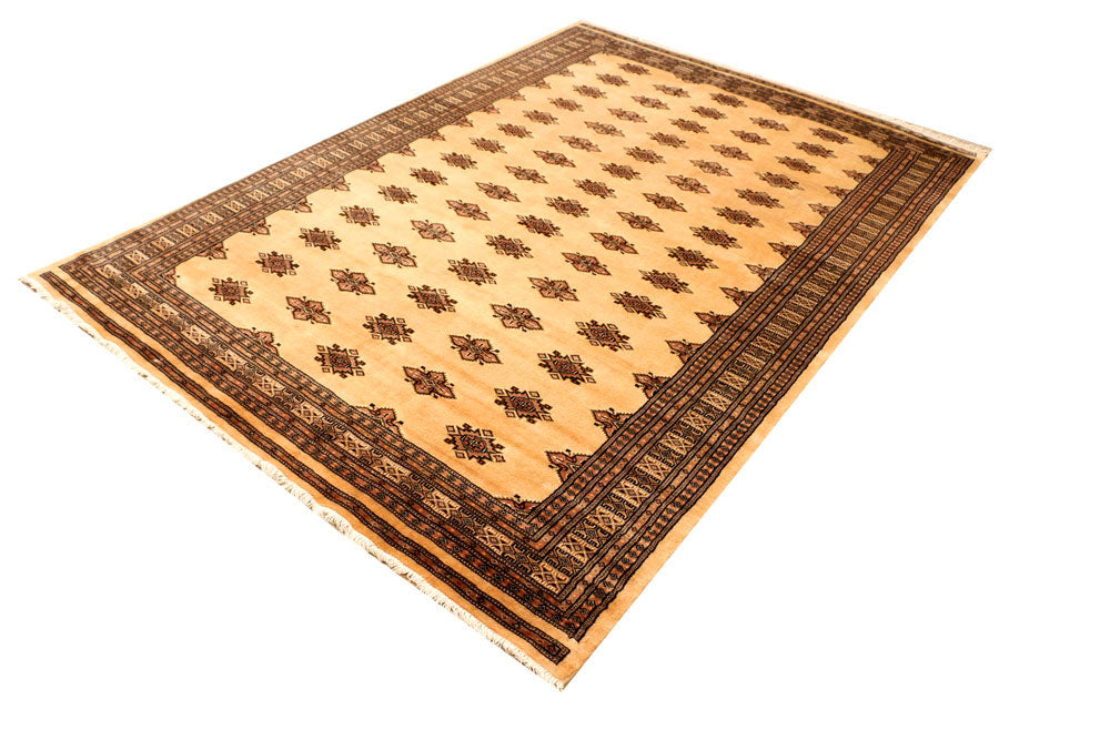 Navajo White Jaldar 5' 7 x 7' 10 - No. 38310 - ALRUG Rug Store