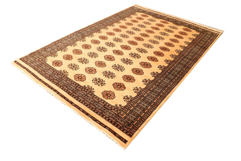 Navajo White Jaldar 5' 7 x 8' 2 - No. 38312 - ALRUG Rug Store