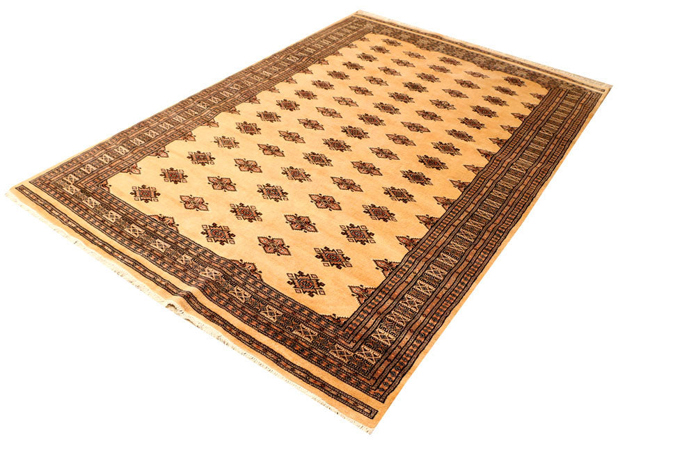 Navajo White Jaldar 5' 7 x 7' 10 - No. 38331 - ALRUG Rug Store
