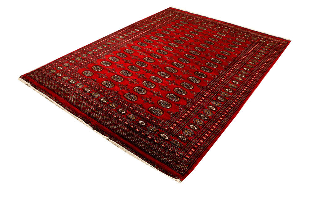 Red Bokhara 6' 2 x 8' 3 - No. 38397 - ALRUG Rug Store