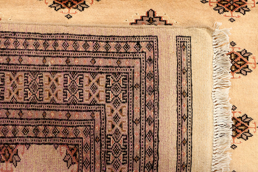 Navajo White Jaldar 5' 9 x 7' 10 - No. 38424 - ALRUG Rug Store