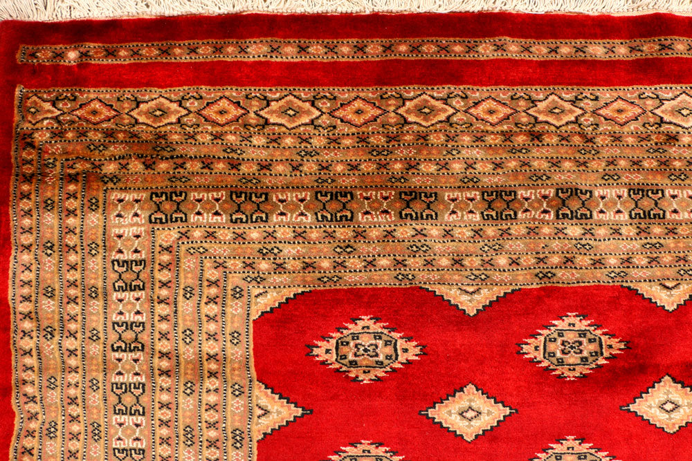 Firebrick Jaldar 6' 8 x 10' - No. 38427 - ALRUG Rug Store