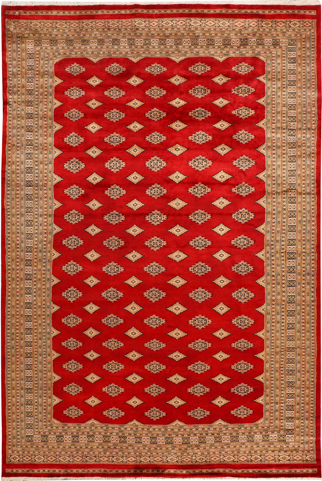 Firebrick Jaldar 6' 8 x 10' - No. 38427 - ALRUG Rug Store