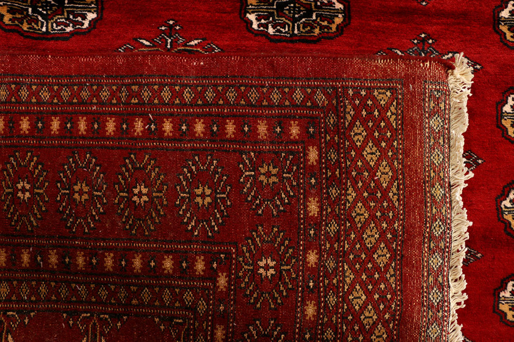 Firebrick Bokhara 6' 7 x 8' 9 - No. 38453 - ALRUG Rug Store