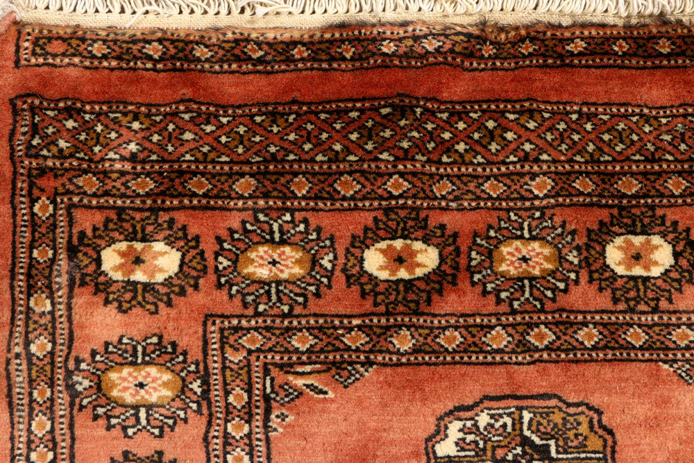 Coral Bokhara 2' 7 x 13' 7 - No. 38968 - ALRUG Rug Store