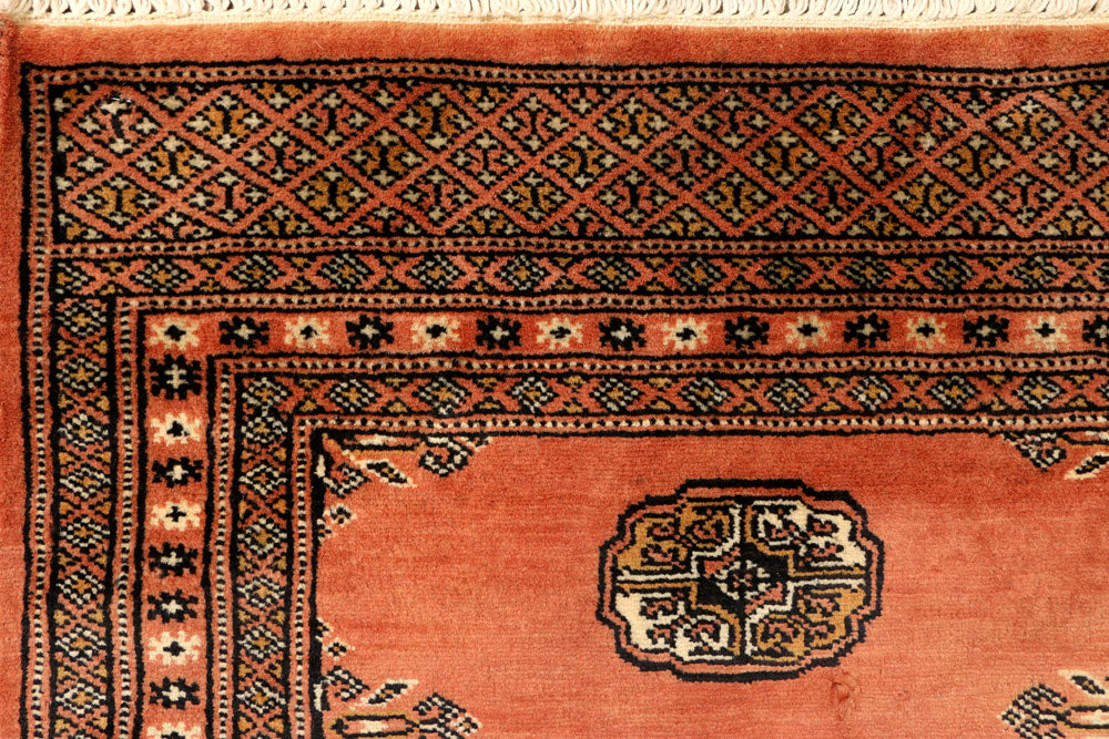 Coral Bokhara 2' 5 x 7' 10 - No. 39146 - ALRUG Rug Store