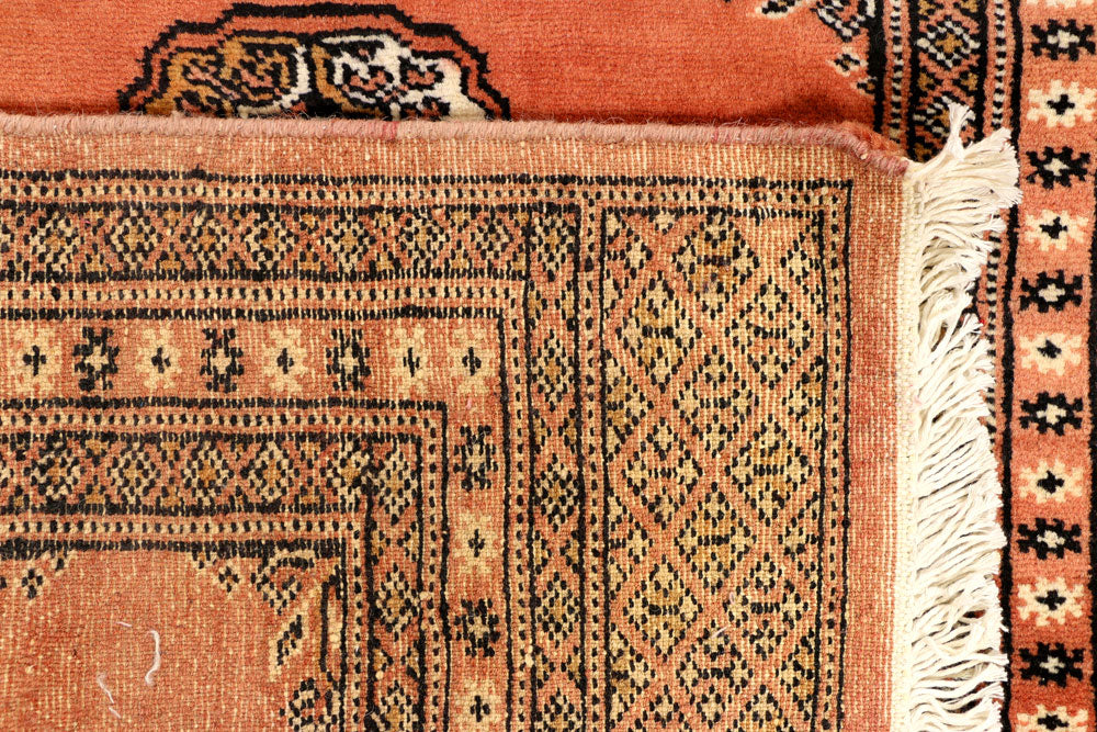 Coral Bokhara 2' 5 x 7' 10 - No. 39146 - ALRUG Rug Store