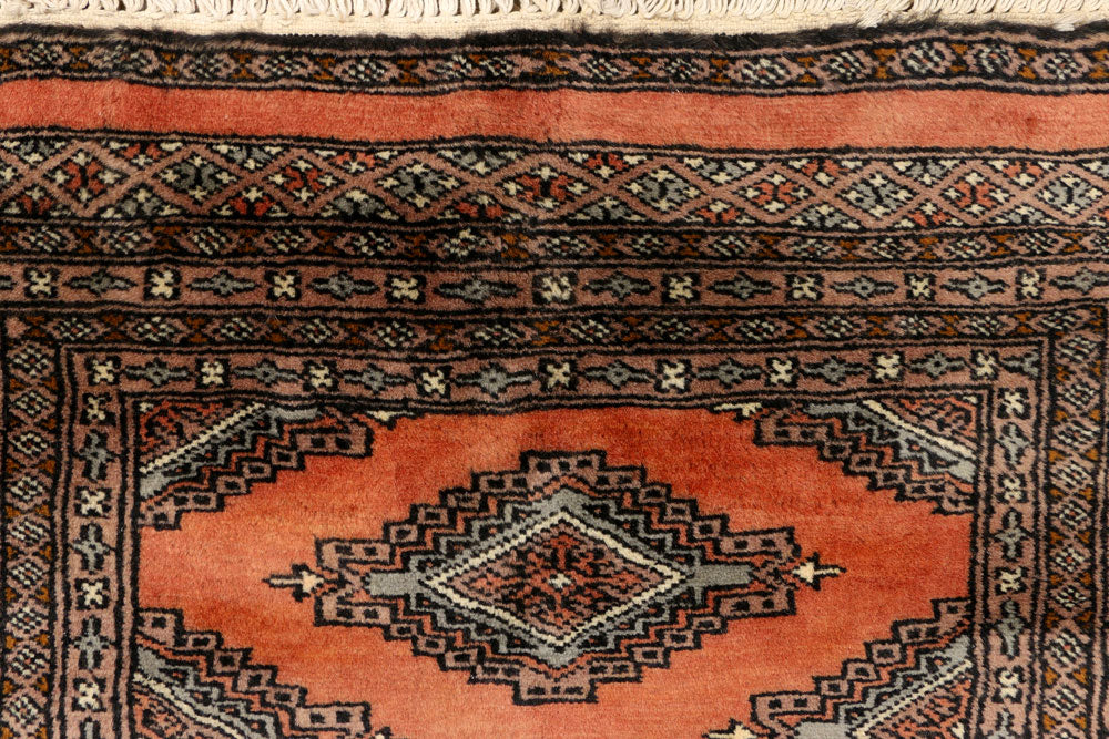 Coral Jaldar 2' 4 x 13' 2 - No. 39221 - ALRUG Rug Store