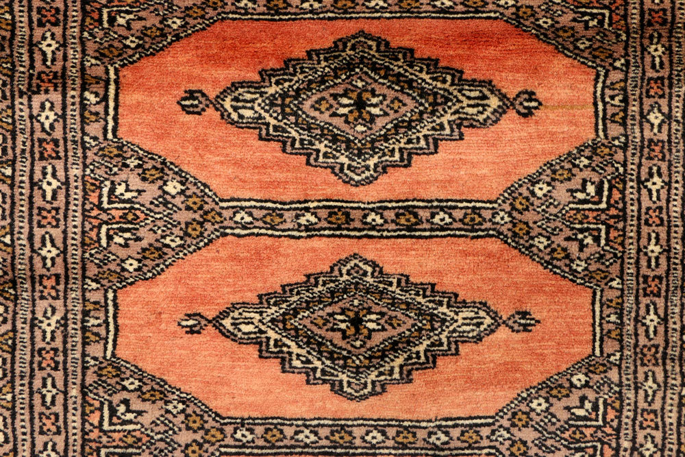 Coral Jaldar 2' 7 x 9' 5 - No. 39300 - ALRUG Rug Store