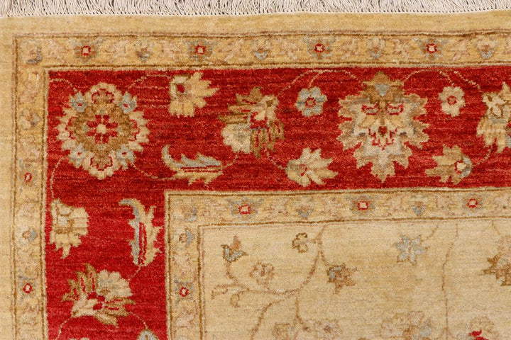 Ziegler 6' 6 x 10' - No. 39830 - ALRUG Rug Store