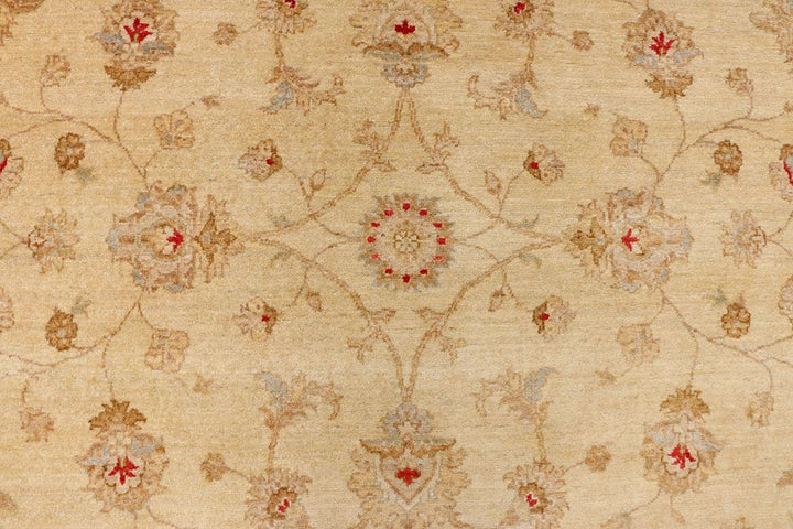 Ziegler 6' 6 x 10' - No. 39830 - ALRUG Rug Store