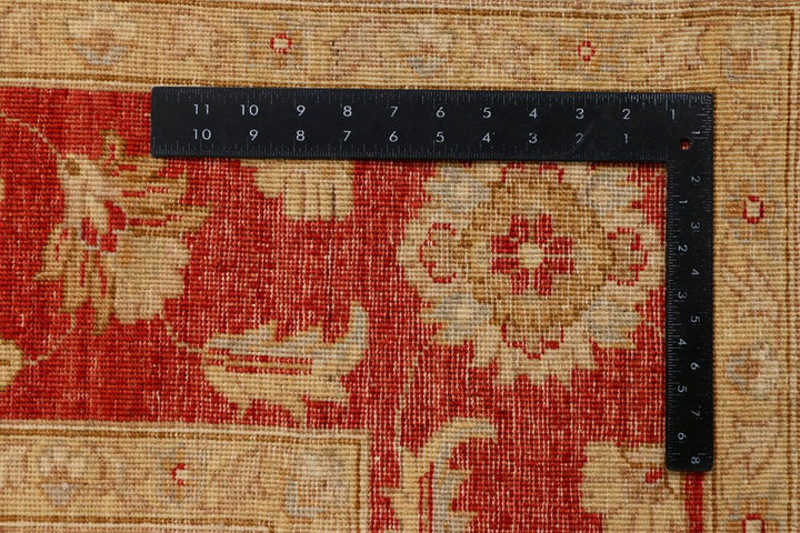 Ziegler 6' 6 x 10' - No. 39830 - ALRUG Rug Store